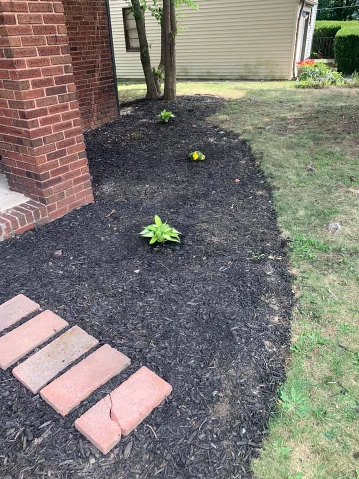 Affordable landscaping services for residential properties in Wadsworth, OH by Freedom Property Preservations