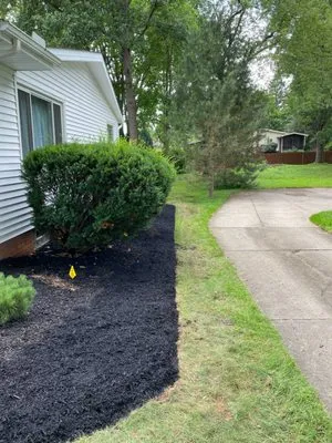 Freedom Property Preservations