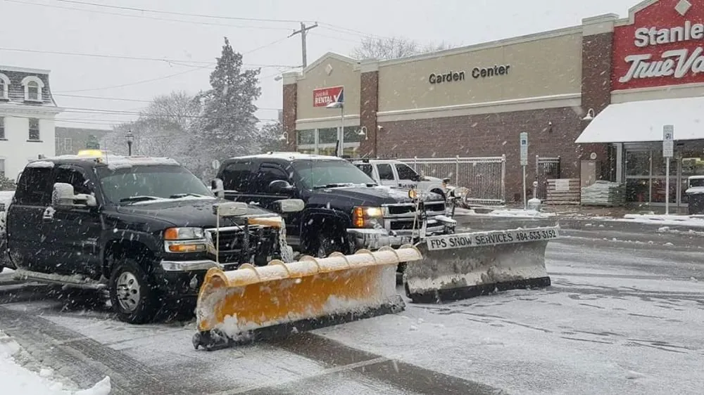 Affordable yard cleanup service for homes across Philadelphia, PA - Freedom Property Services