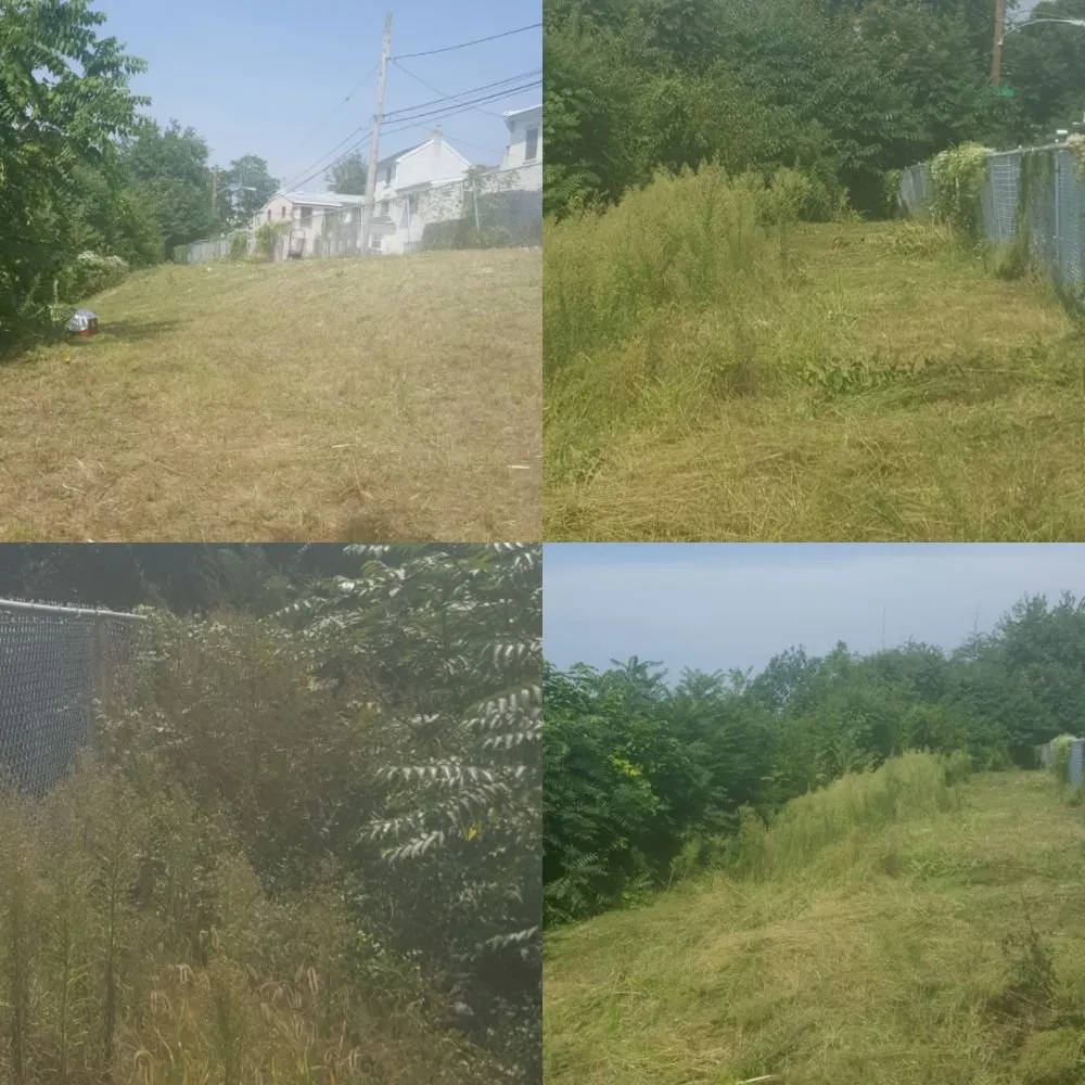 Local lawn mowing service for year-round maintenance in Philadelphia, PA by Freedom Property Services