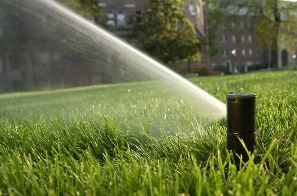 Local outdoor landscaping for homes across Weiser, ID - Freedom Sprinklers