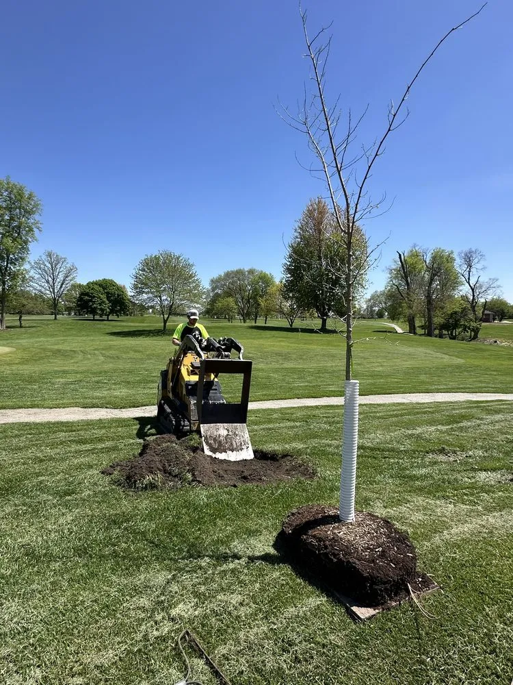 Affordable landscaping services in Boone, IA - Freedom Tree Care