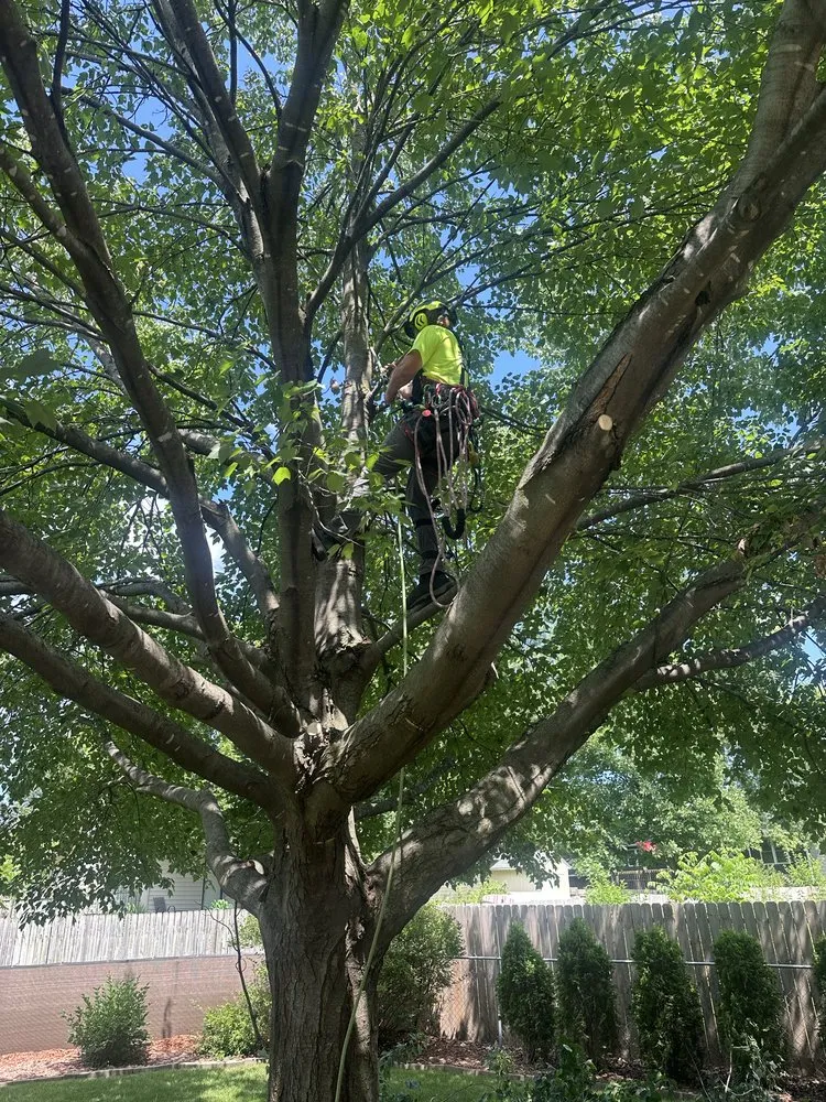 Custom outdoor landscaping in Boone, IA - Freedom Tree Care