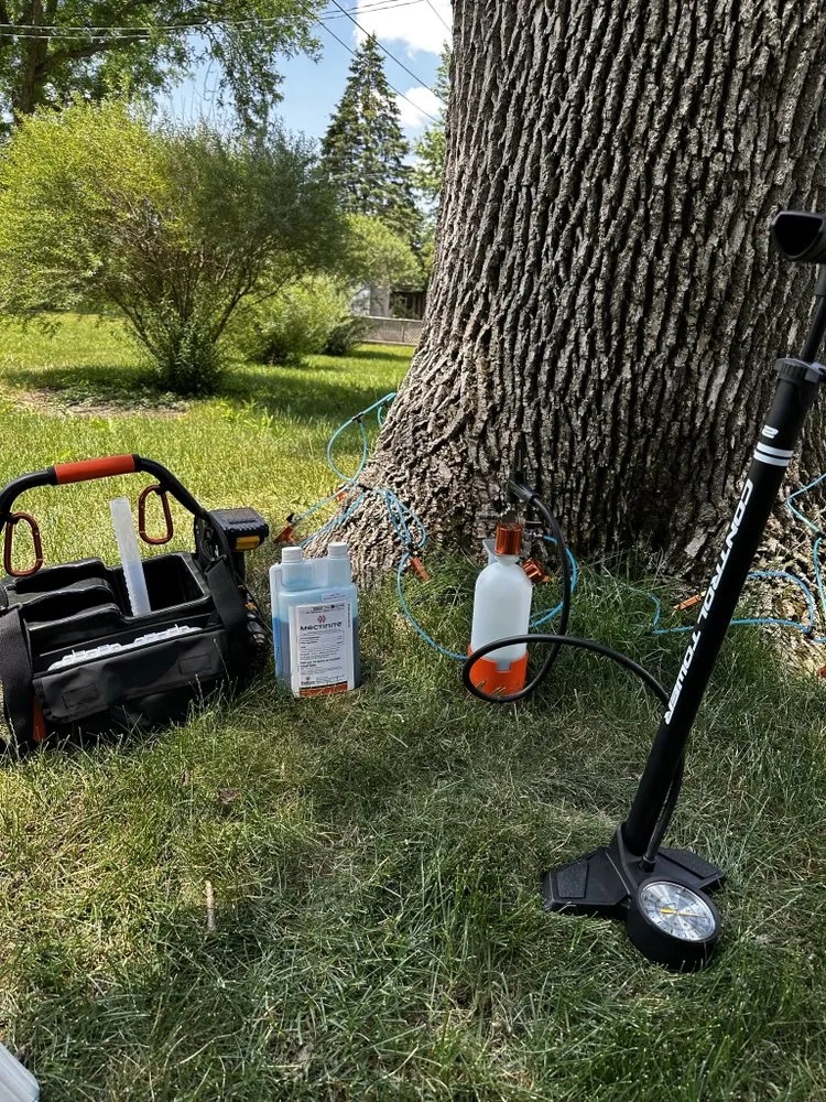 Reliable garden landscaping in Boone, IA - Freedom Tree Care