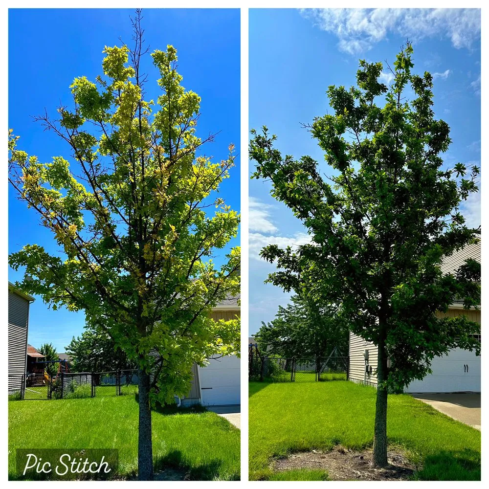 Top-rated outdoor landscaping in Boone, IA - Freedom Tree Care