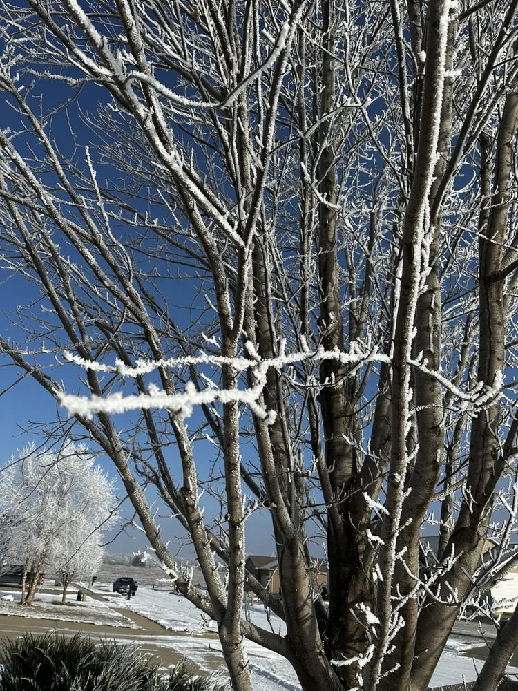 Local outdoor landscaping in Boone, IA - Freedom Tree Care