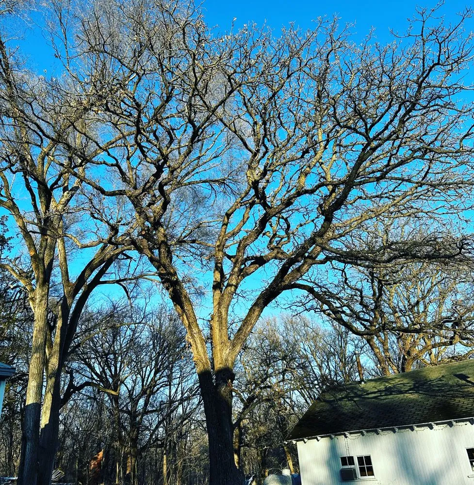 Affordable yard maintenance for outdoor upgrades across Boone, IA - Freedom Tree Care