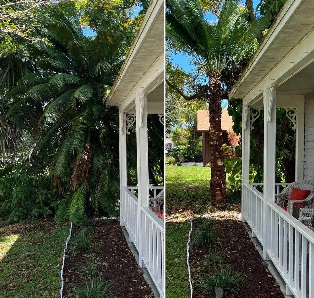 Trusted landscape installation experts serving Melbourne, FL - Freedom tree pros