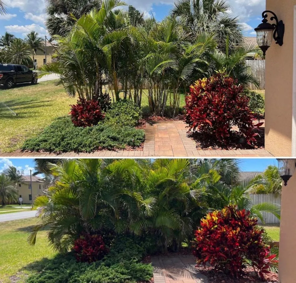 Reliable outdoor landscaping near you in Melbourne, FL by Freedom tree pros