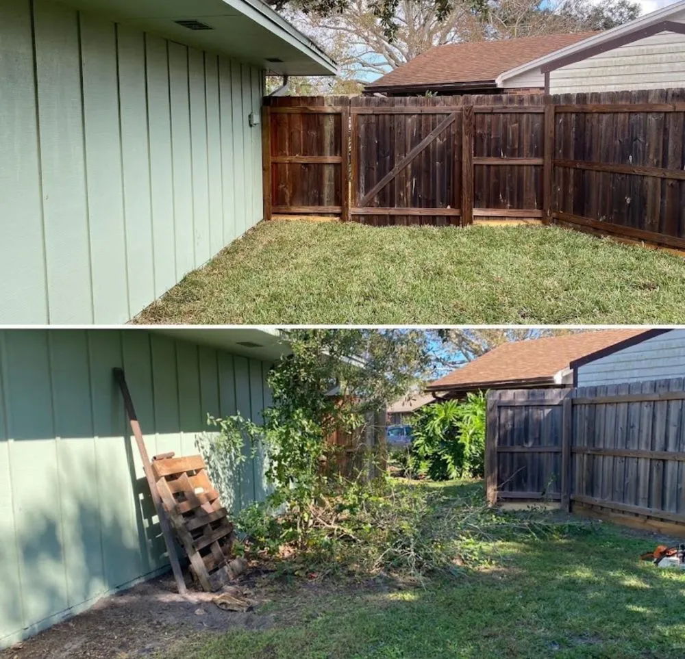 Top-rated yard cleanup service experts serving Melbourne, FL - Freedom tree pros
