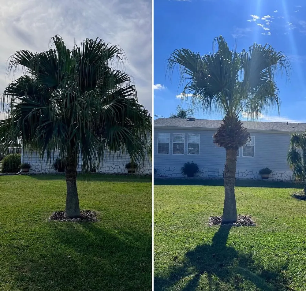 Local lawn mowing service for residential properties in Melbourne, FL by Freedom tree pros