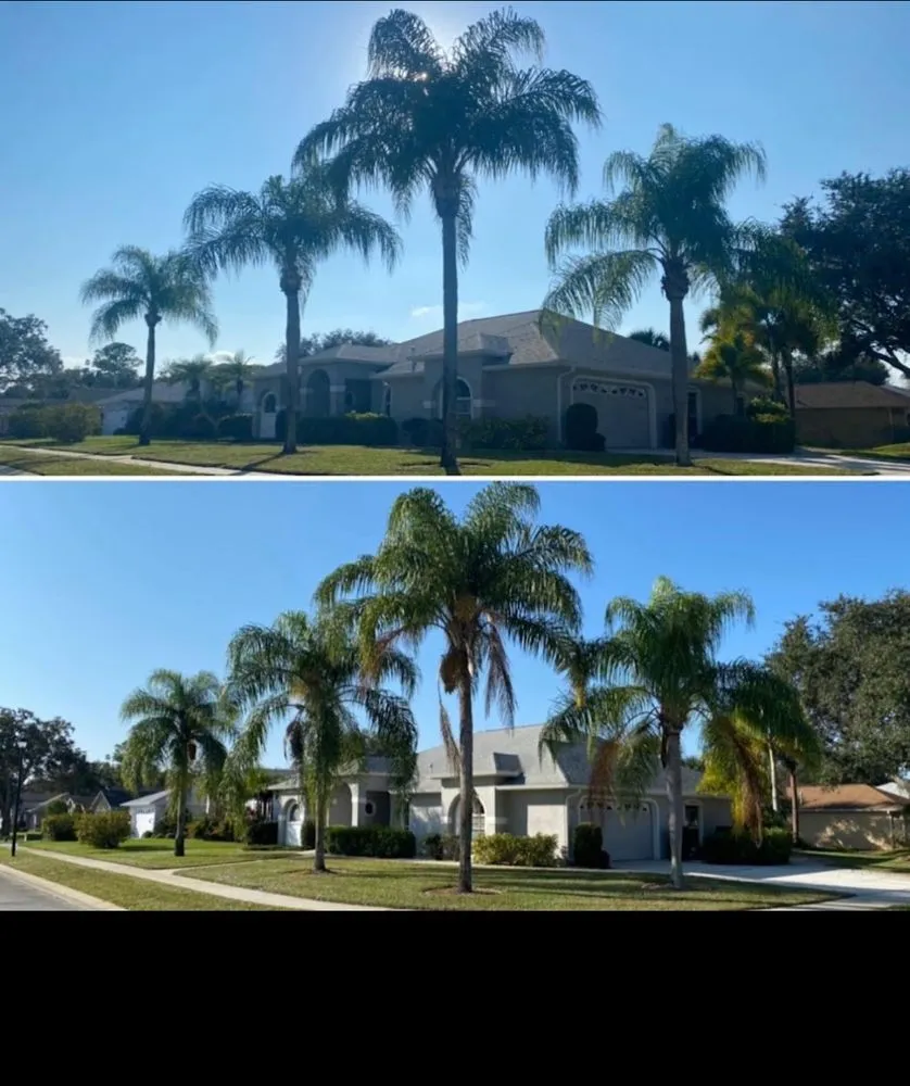 Top-rated residential landscaping for beautiful yards in Melbourne, FL by Freedom tree pros
