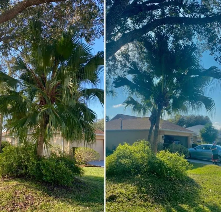 Top-rated residential landscaping for residential properties in Melbourne, FL by Freedom tree pros