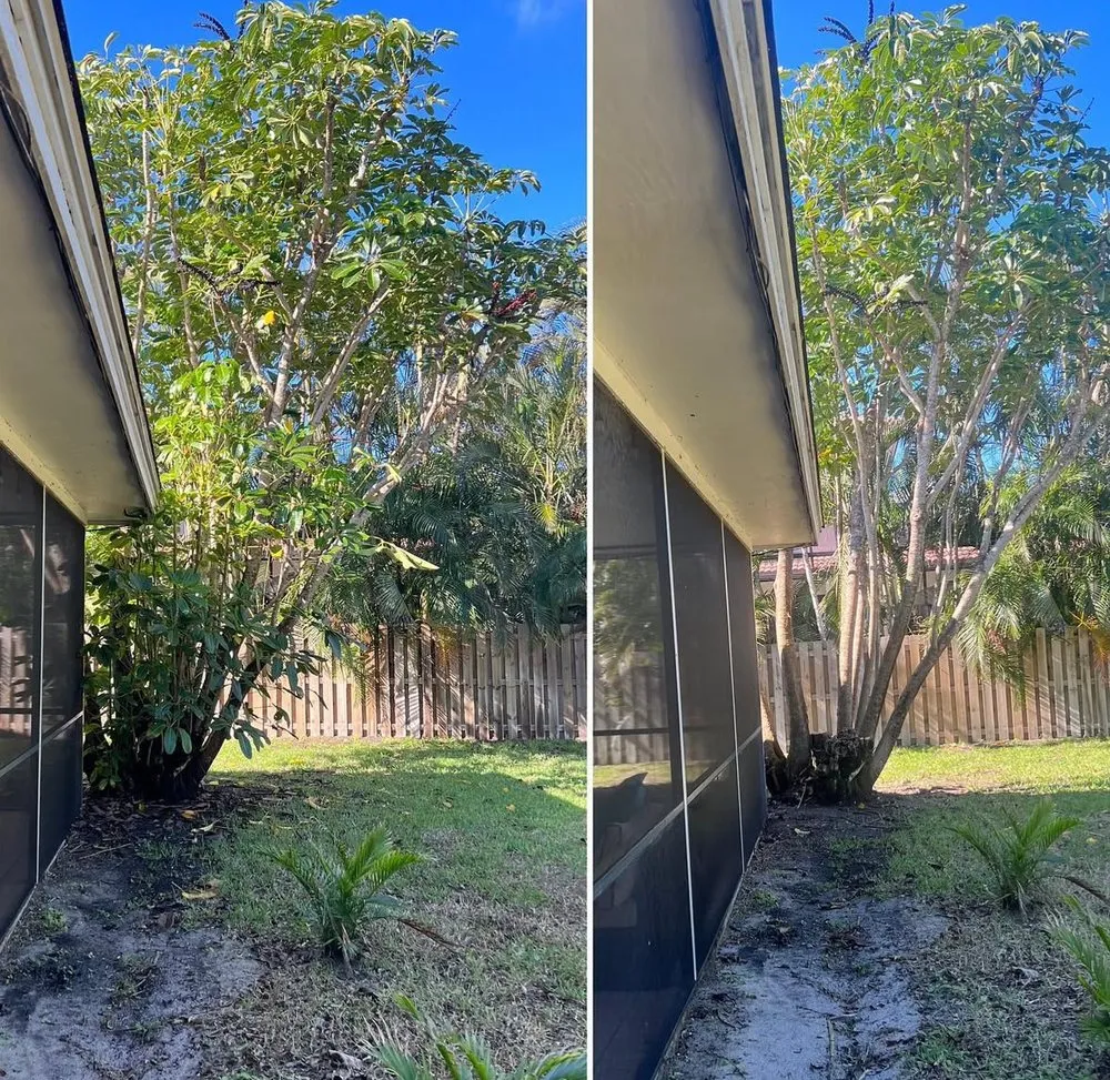 Affordable yard cleanup service with custom design in Melbourne, FL by Freedom tree pros