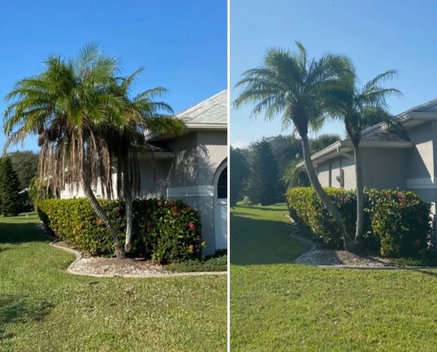 Professional outdoor landscaping in Melbourne, FL by Freedom tree pros