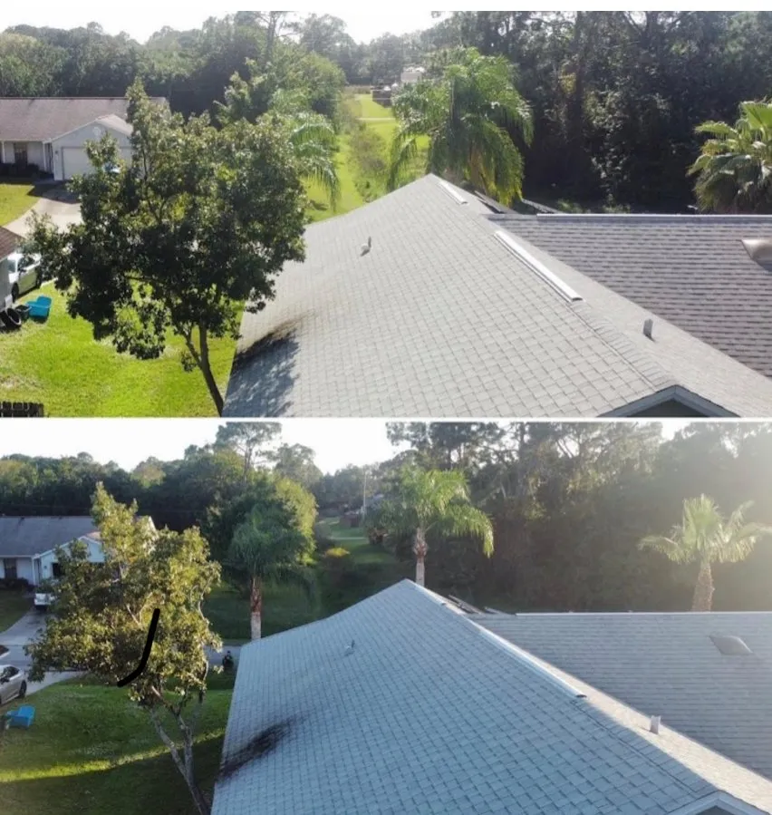 Top-rated lawn mowing service for homes in Melbourne, FL by Freedom tree pros