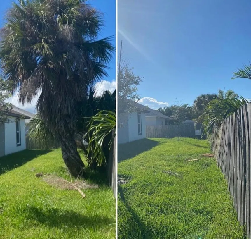 Trusted landscape design near you across Melbourne, FL - Freedom tree pros