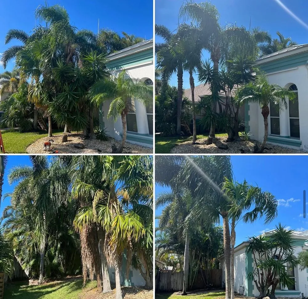 Professional landscape design experts serving Melbourne, FL - Freedom tree pros