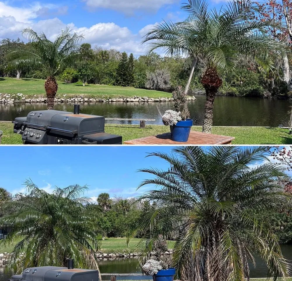 Trusted lawn mowing service in Melbourne, FL by Freedom tree pros