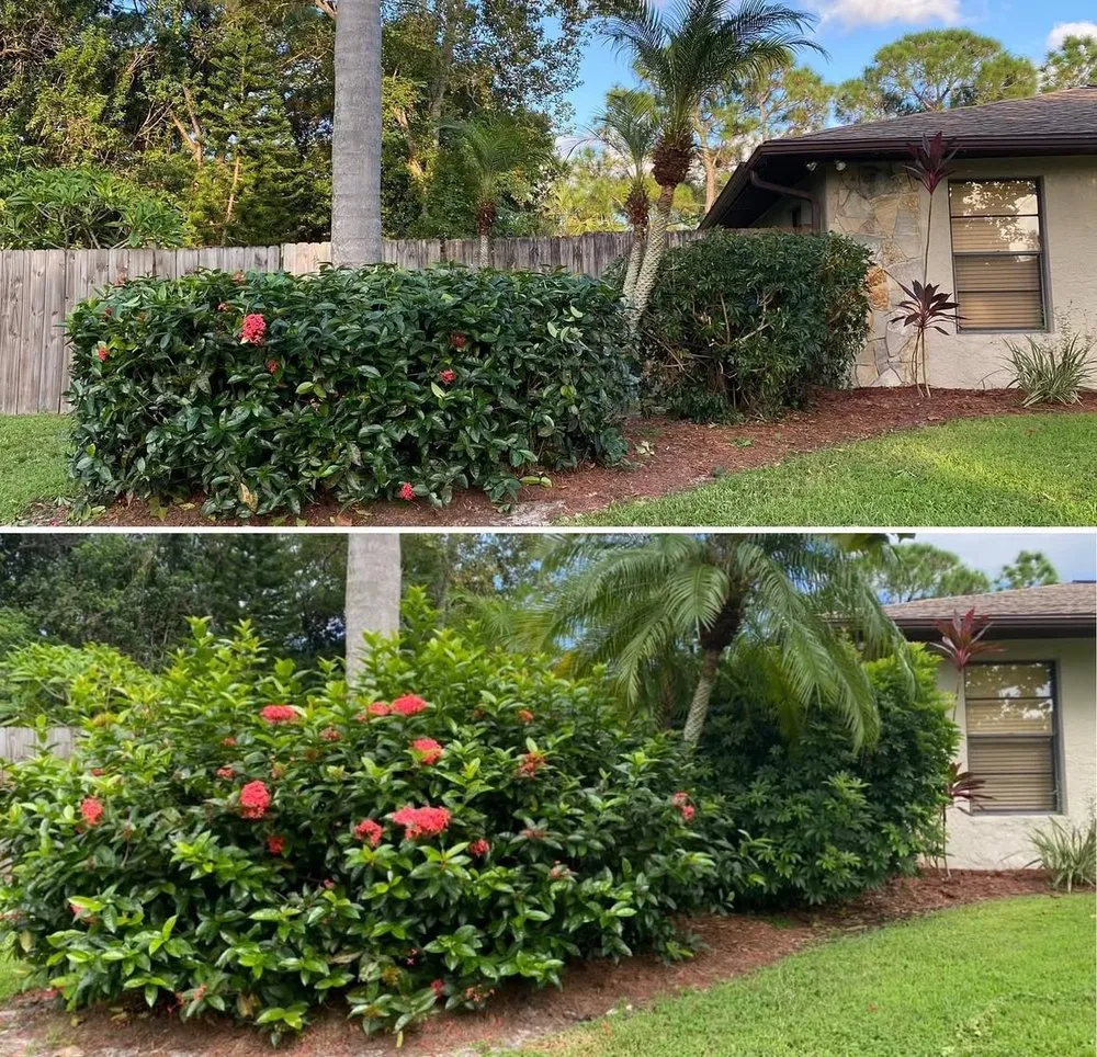 Reliable lawn mowing service near you in Melbourne, FL by Freedom tree pros