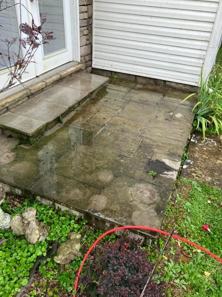 Expert yard cleanup service in Paris, KY by Freedom Works Lawn Care