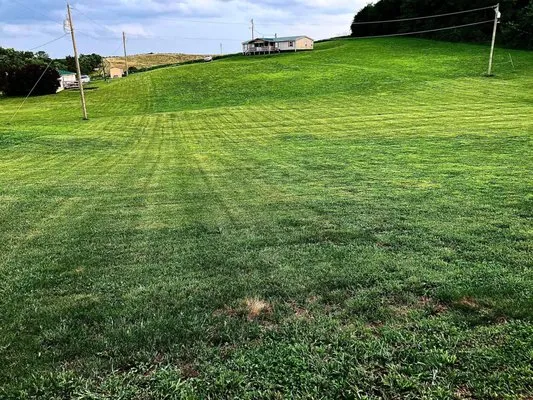 Freedom Works Lawn Care