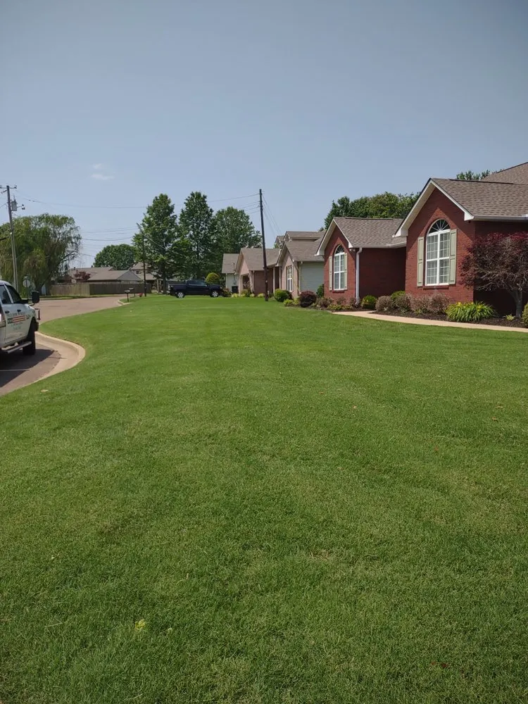 Local landscape installation with custom design across Newbern, TN - Freedom Works Lawnscaping
