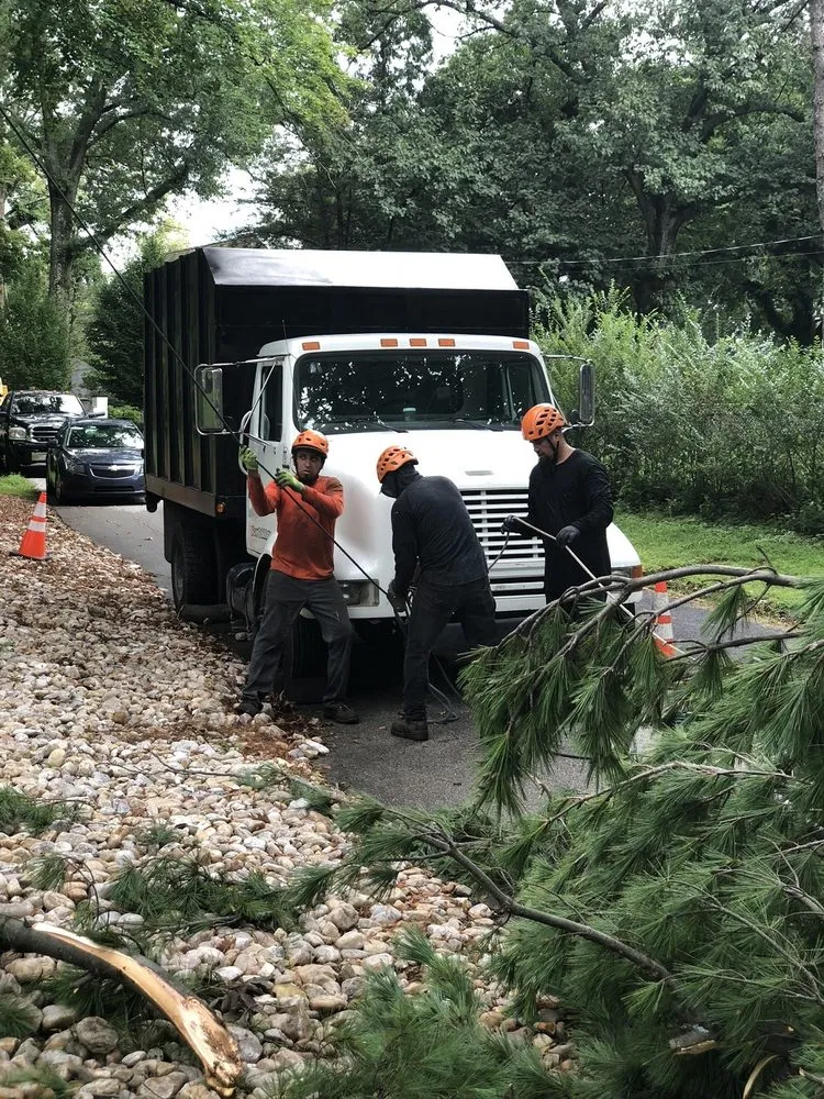 Trusted yard maintenance for year-round maintenance across Philadelpha, PA - Freeland Tree Services & Landscaping