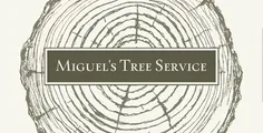 Professional landscape installation for residential properties across Philadelpha, PA - Freeland Tree Services & Landscaping