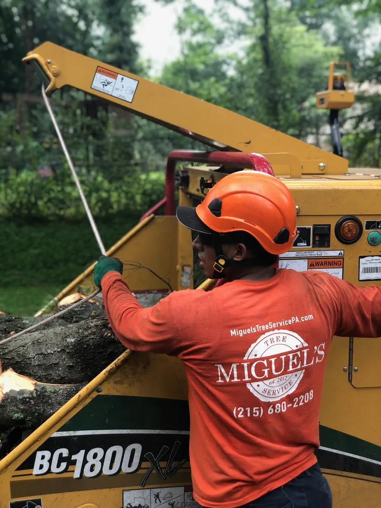 Custom lawn care service experts serving Philadelpha, PA - Freeland Tree Services & Landscaping
