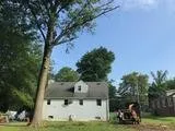 Trusted garden landscaping in Philadelpha, PA by Freeland Tree Services & Landscaping