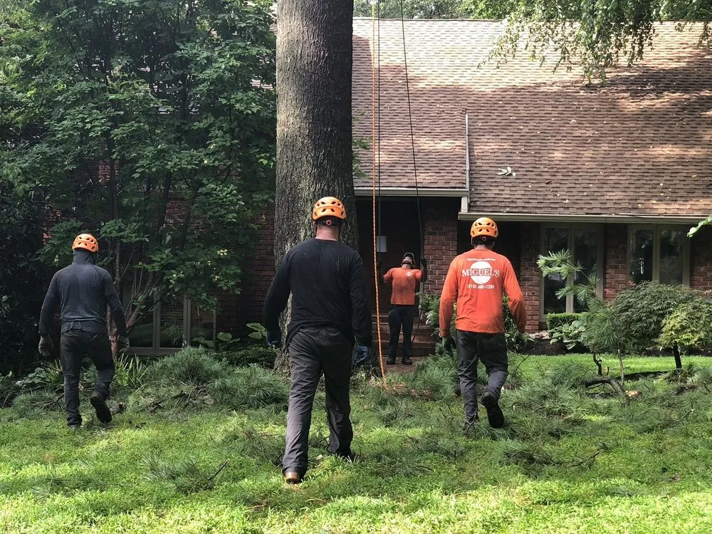Top-rated landscape installation near you in Philadelpha, PA by Freeland Tree Services & Landscaping