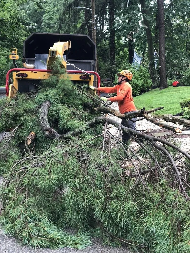 Trusted landscape installation in Philadelpha, PA by Freeland Tree Services & Landscaping