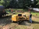 Trusted yard cleanup service in Philadelpha, PA by Freeland Tree Services & Landscaping