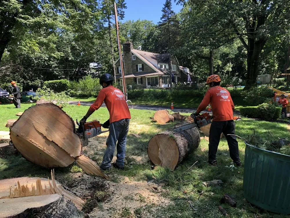 Top-rated landscape installation experts serving Philadelpha, PA - Freeland Tree Services & Landscaping