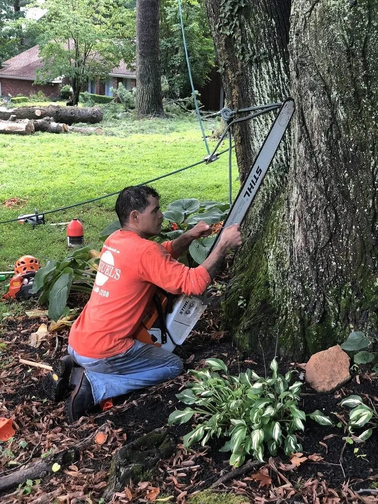 Custom outdoor landscaping for residential properties across Philadelpha, PA - Freeland Tree Services & Landscaping