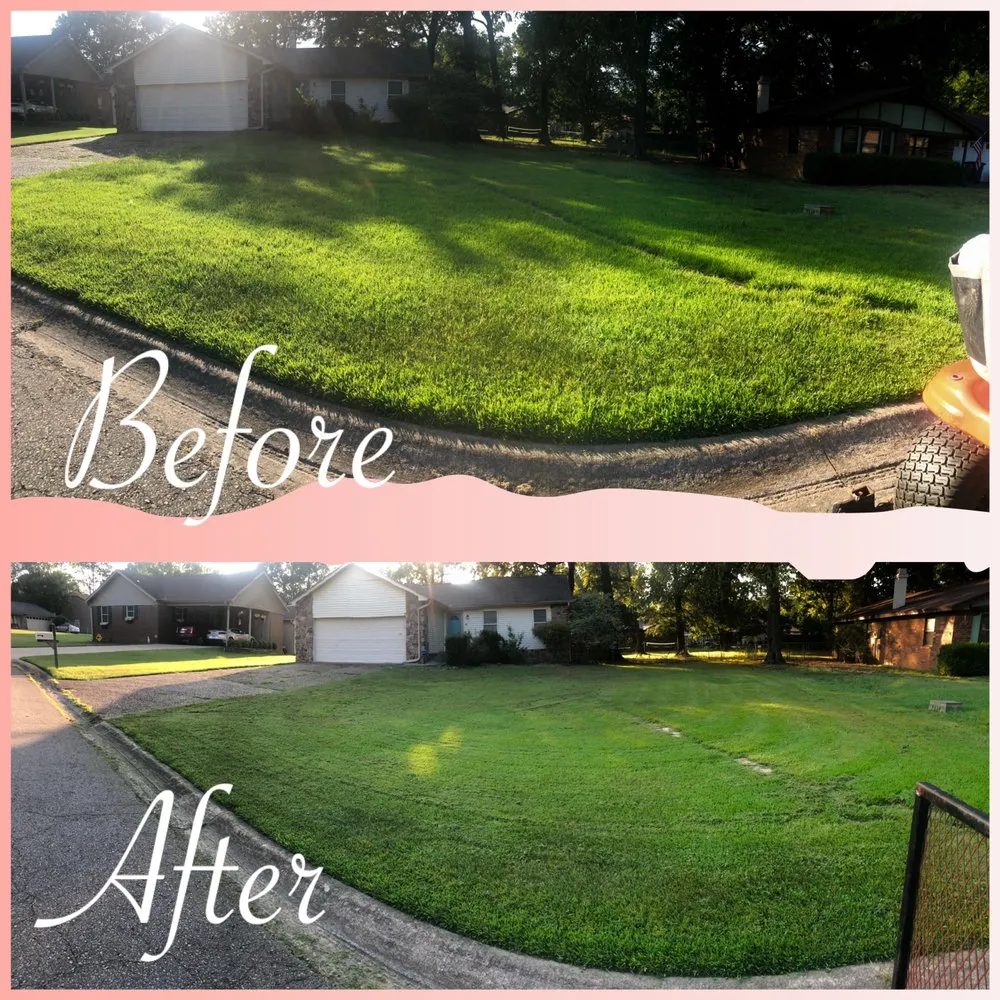 Professional yard cleanup service experts serving Jacksonville, AR - Freeman & Son Lawn Detail