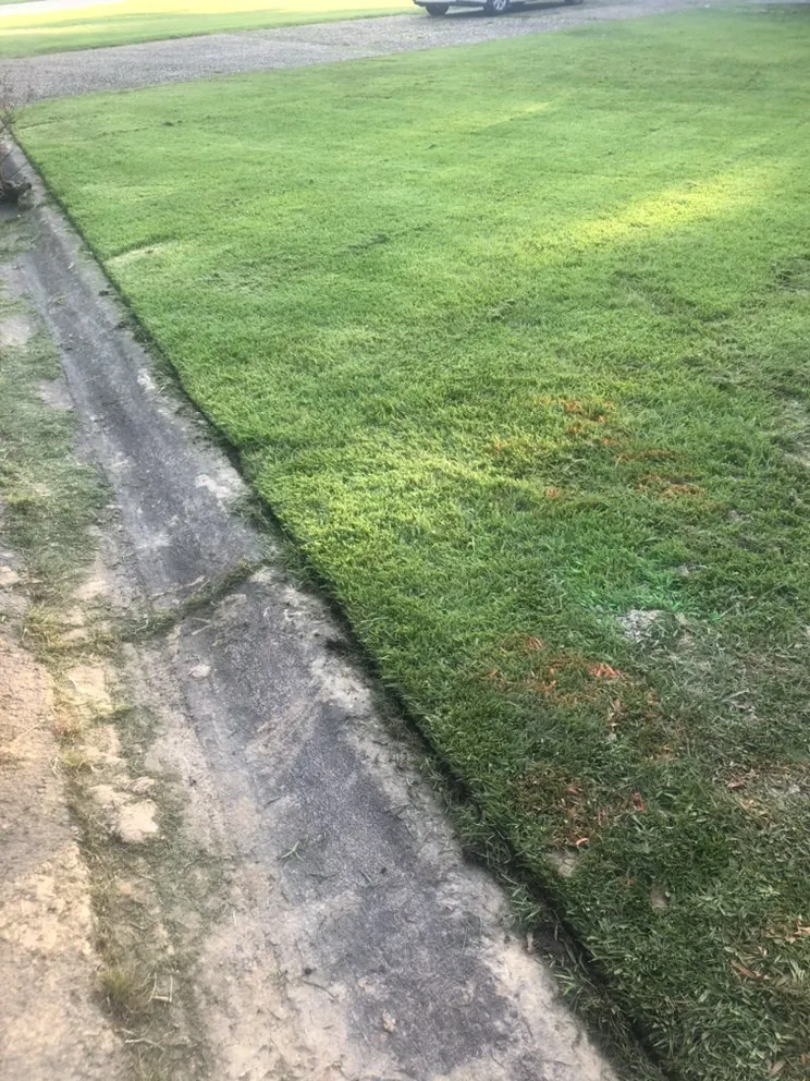 Affordable yard cleanup service in Jacksonville, AR - Freeman & Son Lawn Detail