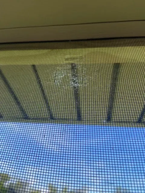 Professional outdoor landscaping for beautiful yards across Warsaw, KY - Freeman Landscaping & Exterior Construction