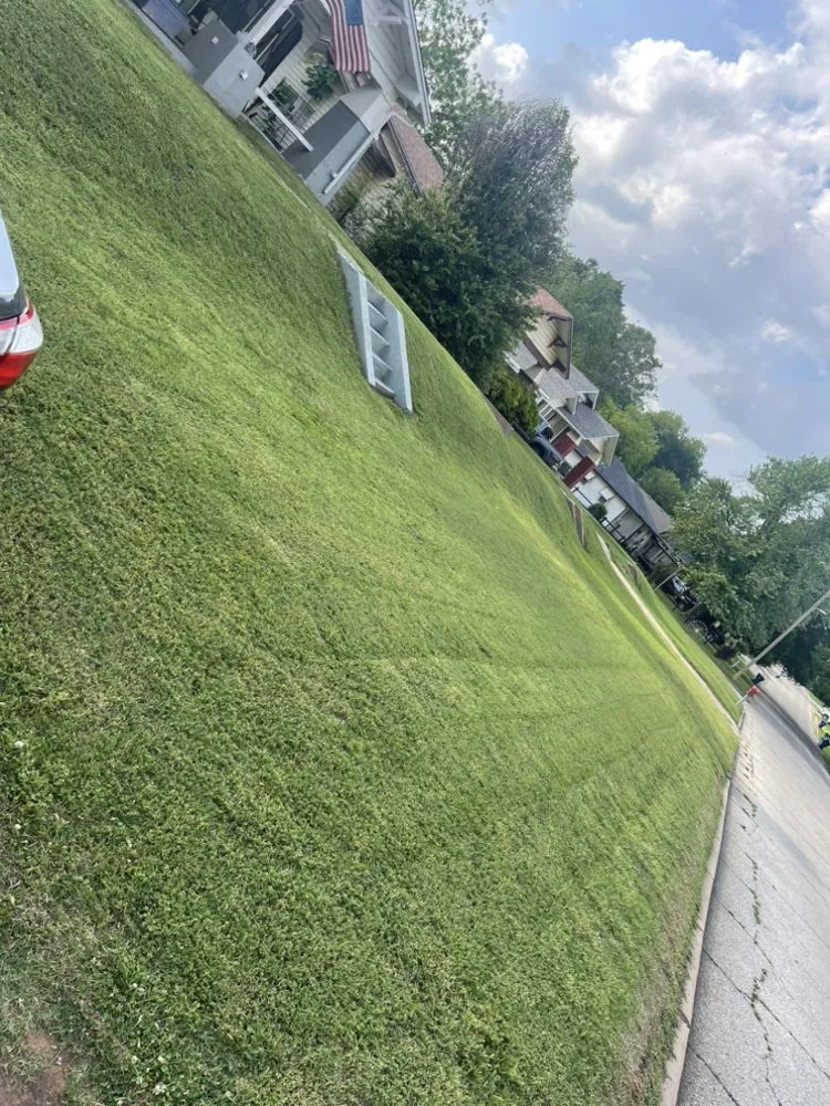 Top-rated outdoor landscaping experts serving Chickasha, OK - Freeman Lawn Care