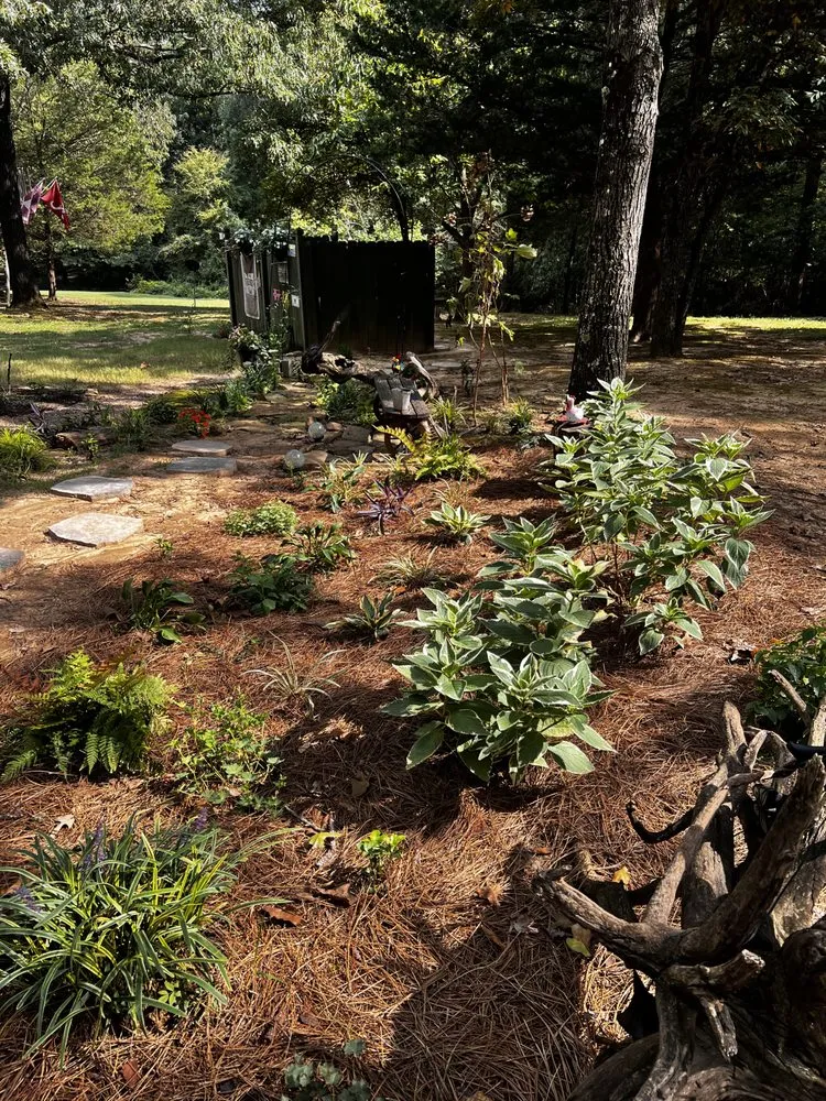 Professional landscape installation with custom design in Oxford, MS by Freeman Lawn Management