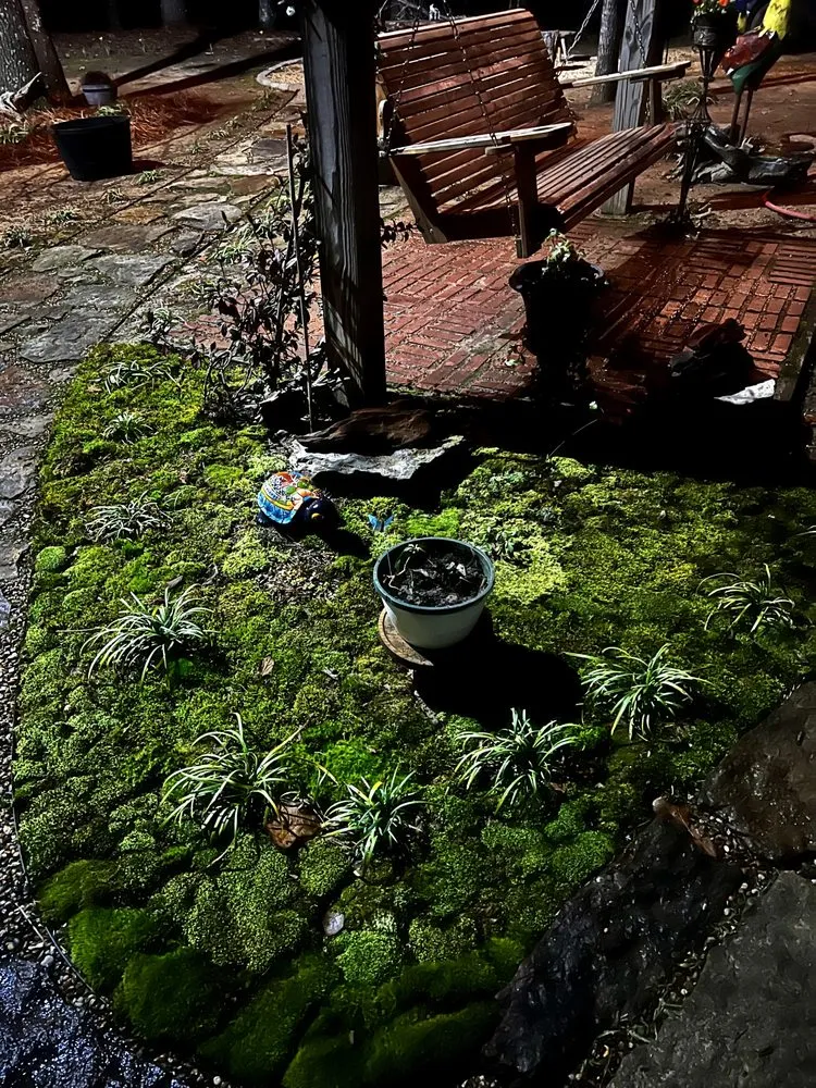 Local lawn mowing service in Oxford, MS - Freeman Lawn Management