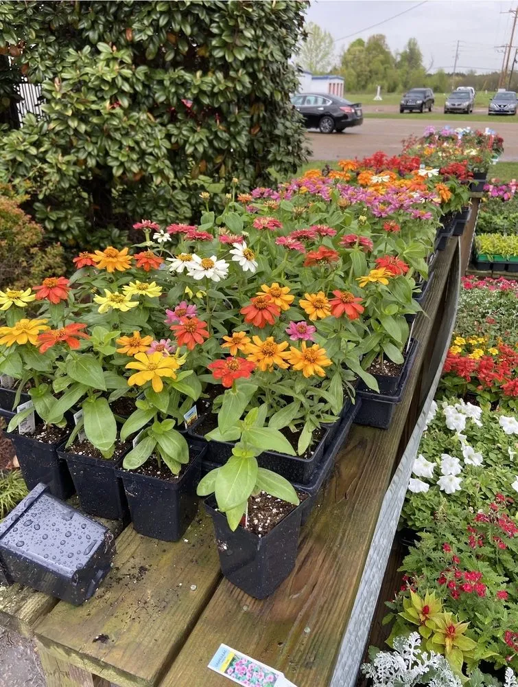 Professional lawn mowing service for residential properties across Oxford, MS - Freeman Lawn Management