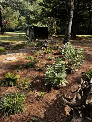 Freeman Lawn Management Logo