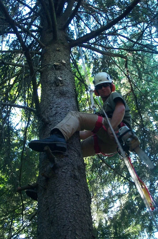 Affordable yard maintenance for residential properties across Moscow, PA - Freeman the Treeman