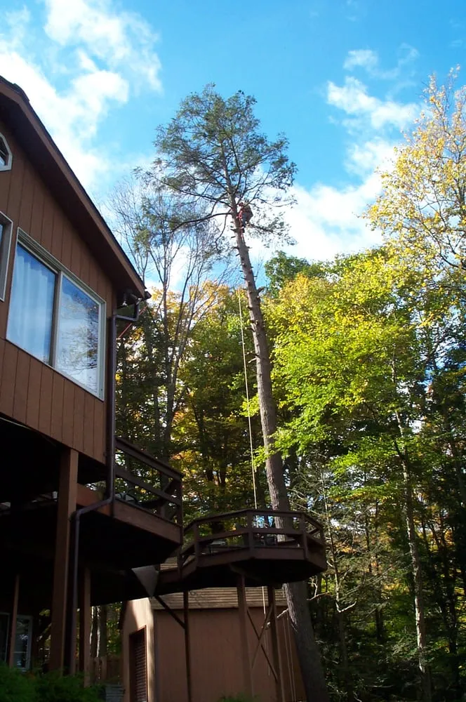 Trusted residential landscaping with custom design in Moscow, PA by Freeman the Treeman