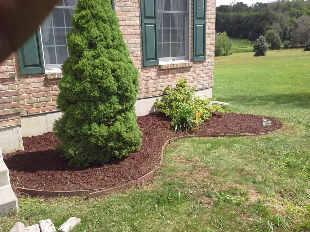 Top-rated lawn mowing service for year-round maintenance in Moscow, PA by Freeman the Treeman