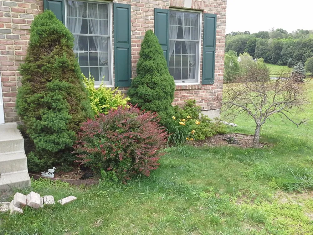 Trusted lawn mowing service in Moscow, PA - Freeman the Treeman