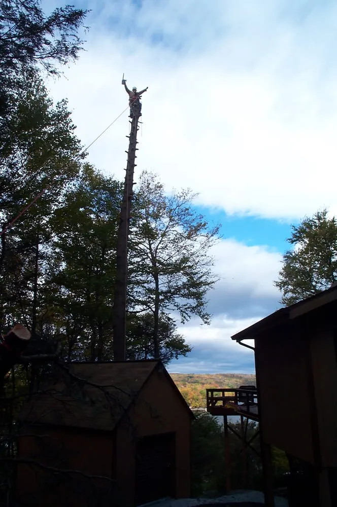 Top-rated residential landscaping with custom design across Moscow, PA - Freeman the Treeman