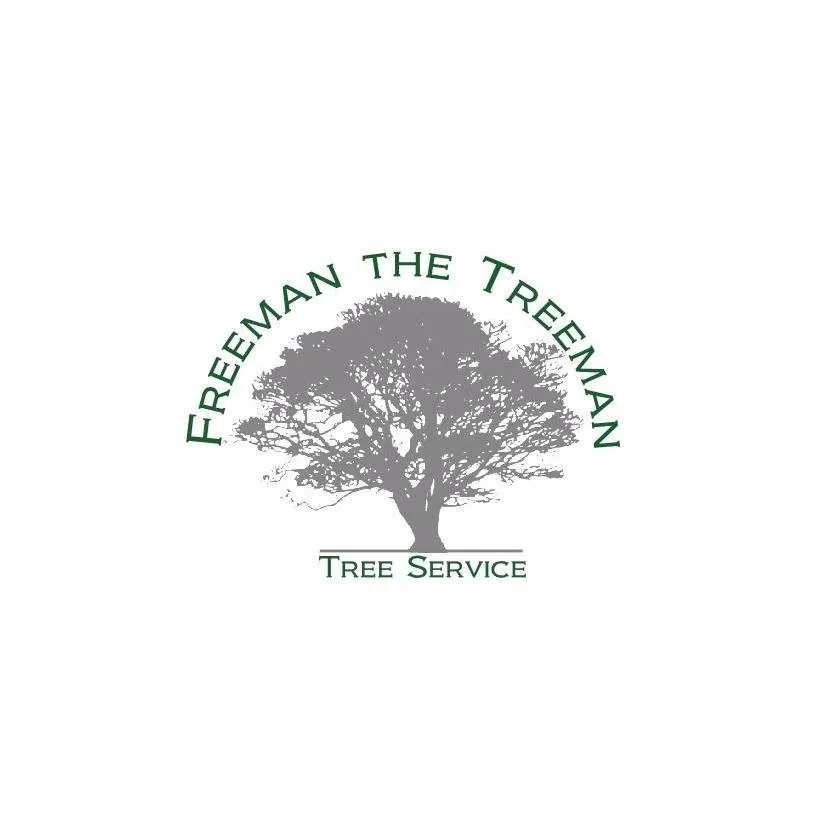 Top-rated lawn mowing service experts serving Moscow, PA - Freeman the Treeman